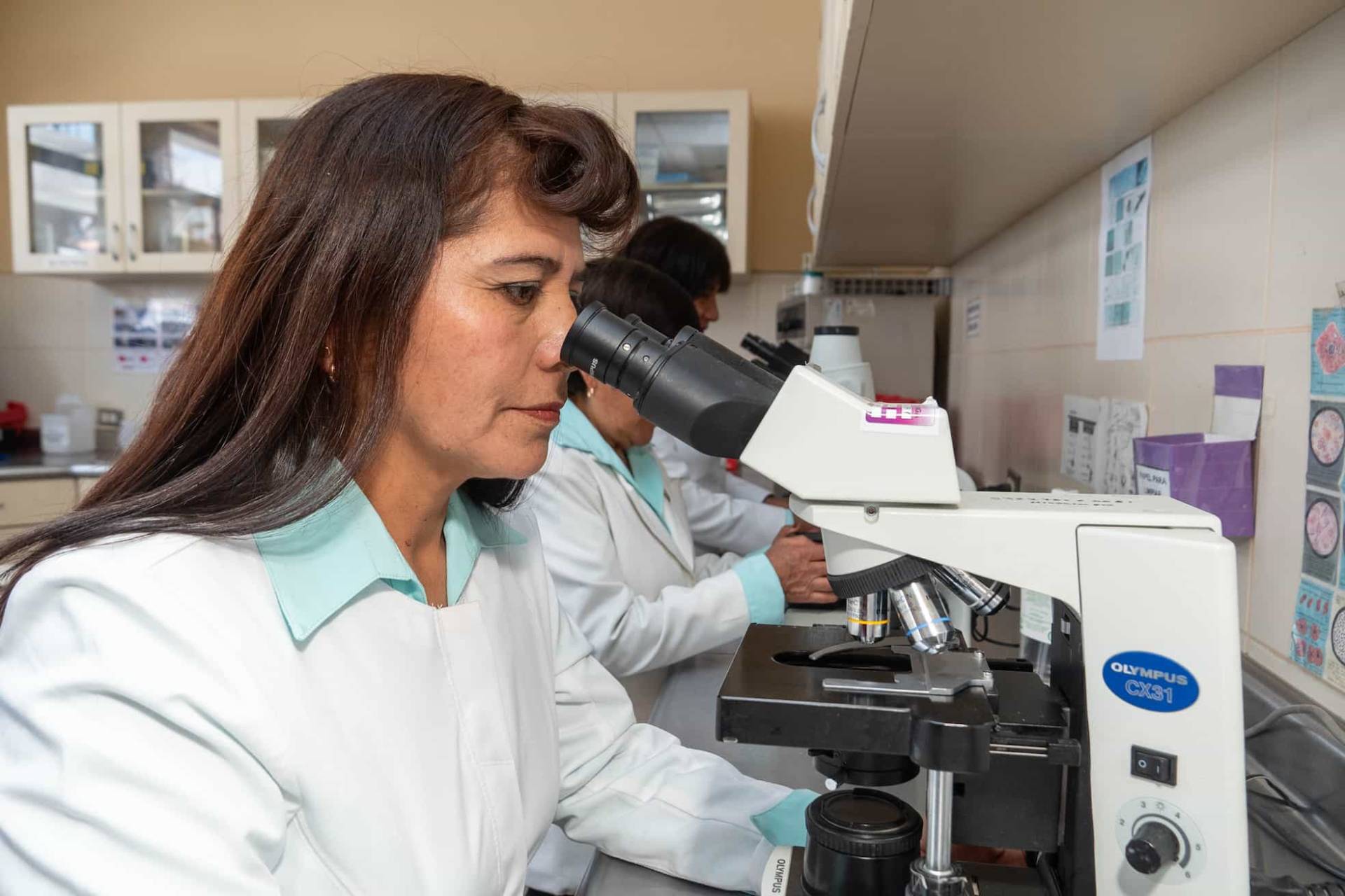 Personal de laboratorio en trabajo Personal de laboratorio en trabajo